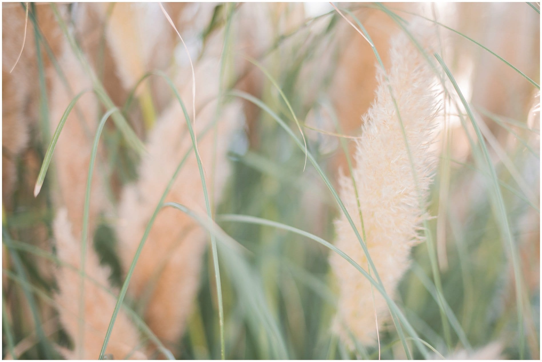 ShoreDriveEngagementSession__VirginiaBeachPhotographer_3458