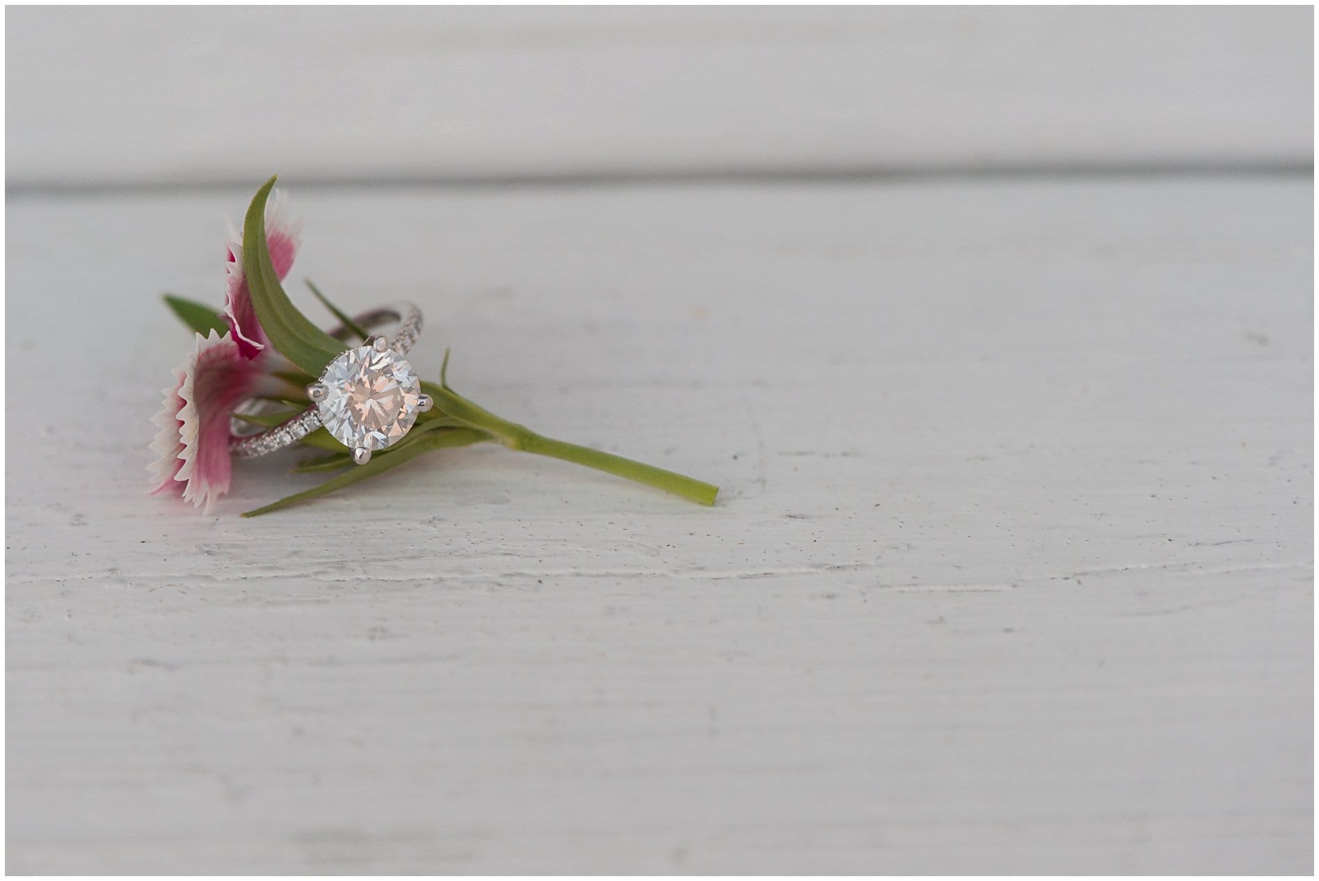 ShoreDriveEngagementSession__VirginiaBeachPhotographer_3471