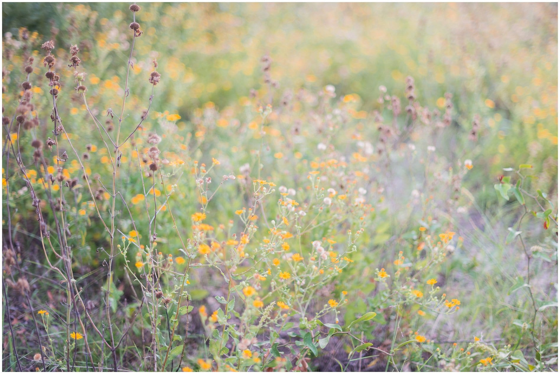 shoredriveengagementsession__virginiabeachphotographer_3573