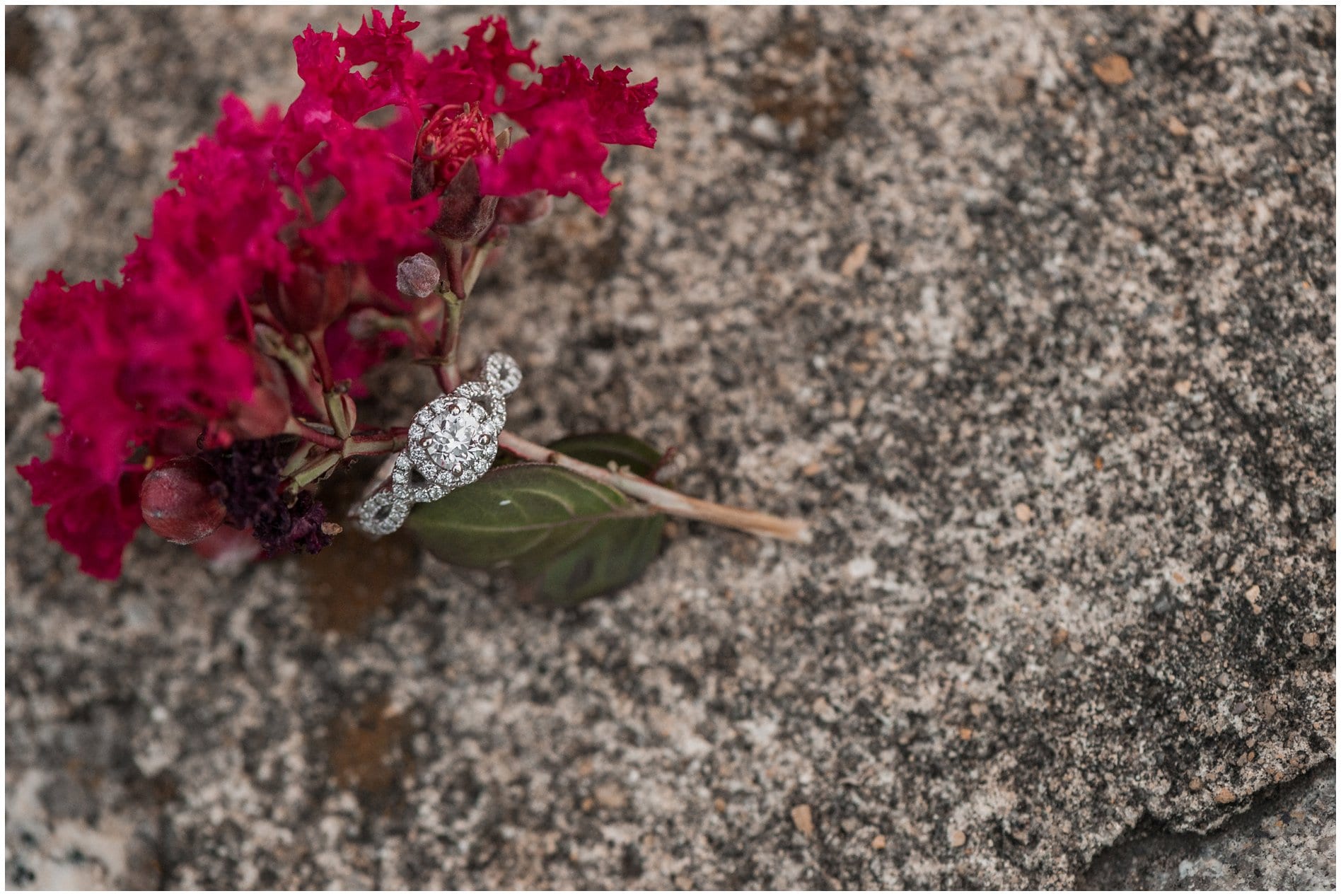 Richmond Engagement Session 